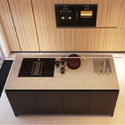 ODM Lacquer 16mm Modular Kitchen Cabinets Waterproof Quartz Countertop